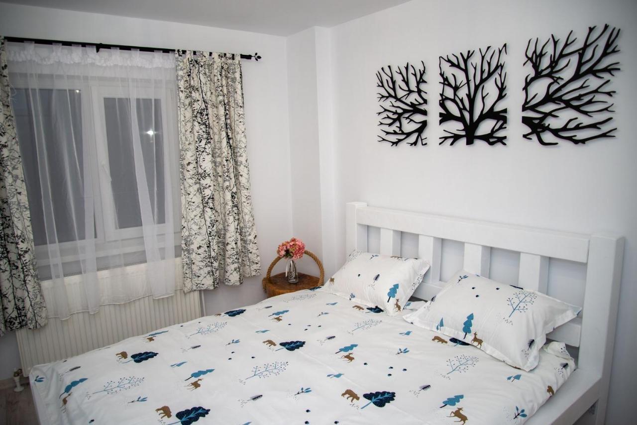 Apartament Daria Tîrgu Ocna Εξωτερικό φωτογραφία
